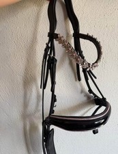 Equestrian for sale Equestrian for sale Lacey