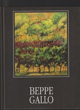 Beppe gallo opere usato  Cirie