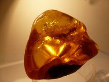 Natur bernstein stück gebraucht kaufen  Kitzingen