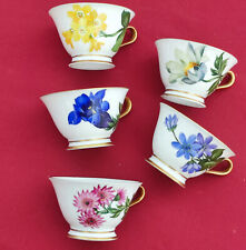 Tasse krautheim kleine gebraucht kaufen  Bergheim