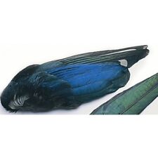 Magpie wings fly for sale  Shipping to Ireland