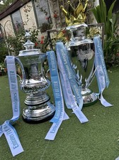 Football cup trophy for sale  LANCASTER