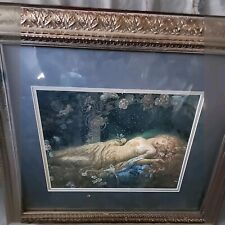 framed art sleeping beauty for sale  Cumming