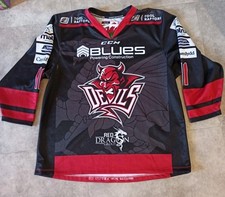 Cardiff devils ice for sale  RADLETT