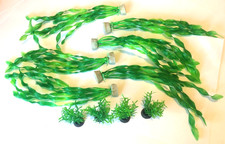 Assorted aquarium fish for sale  Laguna Hills