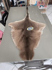Peau kangourou véritable d'occasion  Saint-Juéry