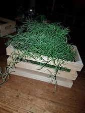 Holzkorb stapelkiste stapelbox gebraucht kaufen  Langelsheim