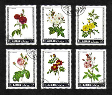 Ajman 1969 roses for sale  ANTRIM