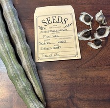 Moringa seeds planting for sale  Riverview