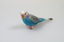 wellensittich vogel gebraucht kaufen wellensittich vogel gebraucht kaufen Körle