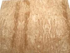 Birke maser holzfurnier gebraucht kaufen  Hamburg