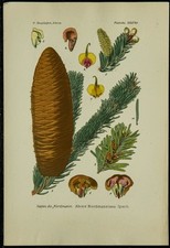 planche sapin d'occasion planche sapin d'occasion Expédié en Belgium