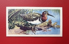 Brooke bond rhodesian for sale  HEMEL HEMPSTEAD