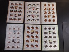 Usado, Rumänien 2020, 15er Bogenserie "Phonographen", **/MNH, Mi.Nr.7673/78, ME 312,- comprar usado  Enviando para Brazil