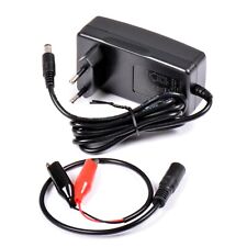 12v ion lithium d'occasion  Expédié en Belgium