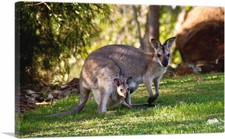 Artcanvas native australians for sale  Niles
