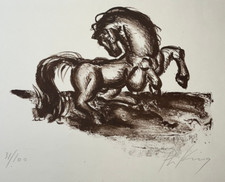 Franz priking cheval d'occasion  Pluvigner