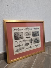 Antica stampa incorniciata usato  Mondovi