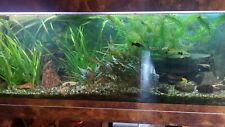Aquarium 400 litres d'occasion  Créteil
