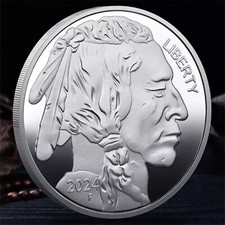 Nel 2024 bisonte usato  Spedire a Italy