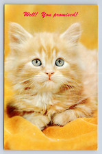 Vintage postcard cat for sale  Wichita Falls