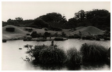 jardin zen d'occasion jardin zen d'occasion Expédié en Belgium