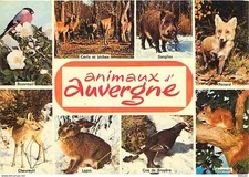 Animals auvergne multivue d'occasion  Expédié en Belgium