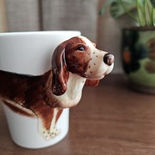 Best friend dog for sale  MORECAMBE