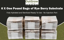 Sterilized rye berry for sale  Mc Connell