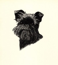 Antique brussels griffon for sale  Harborton