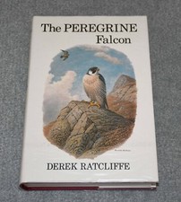 Peregrine falcon derek for sale  HALESOWEN