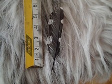 Buntspecht feder schmuck gebraucht kaufen  Paderborn