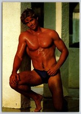 Postcard hot bodz for sale  Wynantskill