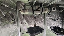 130 watt grow gebraucht kaufen  Sebnitz