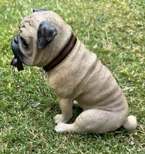 Sitting pug dog for sale  RIPLEY