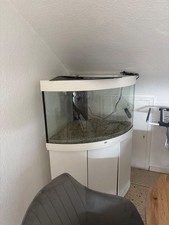 Aquarium juwel trigon gebraucht kaufen  Sindelfingen