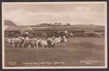 CARTÃO POSTAL VINTAGE VISTA GERAL DE PENHASCOS, OVELHAS E CARROS, TYDWEILIOG comprar usado  Enviando para Brazil