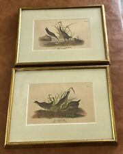 birds art framed for sale  Port Charlotte