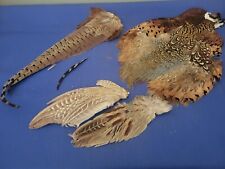 Pheasant feathers for sale  Shipping to Ireland