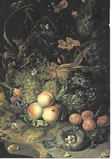Nature morte fruits d'occasion  Rosheim
