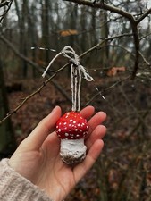 Pilze zum aufhängen gebraucht kaufen  Lübeck