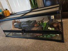 Exotic terra glass for sale  SLEAFORD