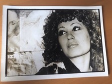 Sabrina lory photo d'occasion  Benassay