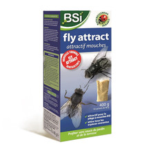 Attraente mosche fly usato  Roma