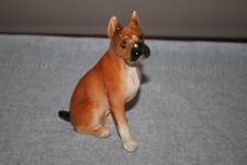 boxer german dog for sale boxer german dog for sale Springfield