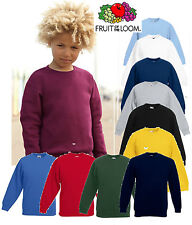 Kinder sweatshirt fruit gebraucht kaufen  Baesweiler