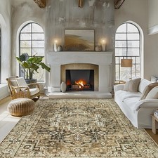 Area rug living for sale  Brentwood