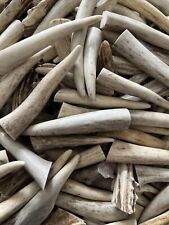 Pack deer antler for sale  Fredonia
