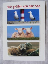 Postkarte ansichtskarte tiere gebraucht kaufen  Bremen