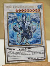 Trishula drache eisbarriere gebraucht kaufen  Philippsburg